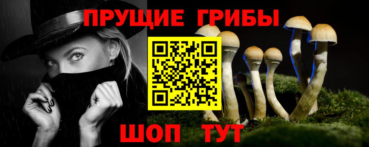 Галлюциногенные грибы GOLDEN TEACHER Юрга